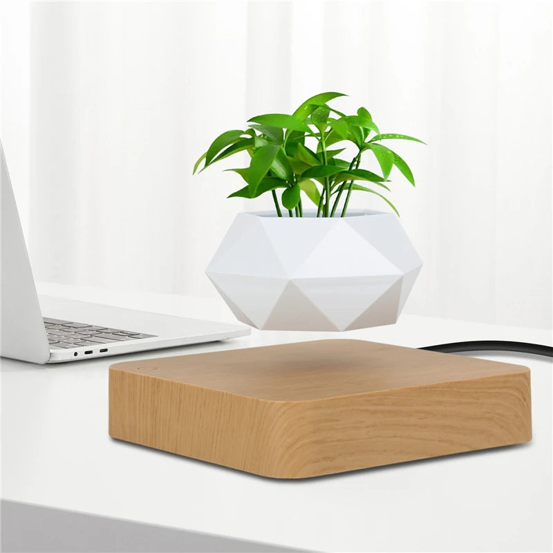 Levitating Flower Pot