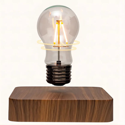 Floating Bulb Lamp