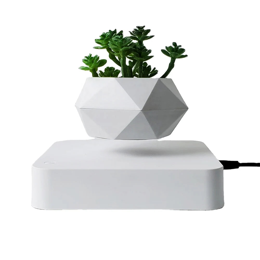 Levitating Flower Pot