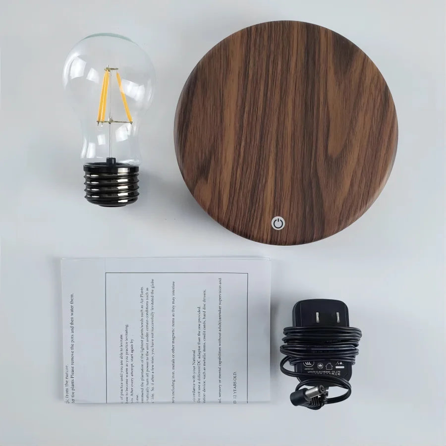 Floating Bulb Lamp